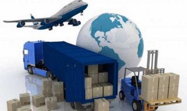 Sanex Express: Rusya ve BDT Ülkelerine Hızlı ve Güvenli Kargo Hizmeti