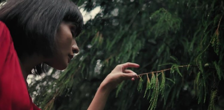 Alvoteks: Sustainable Fashion and High-Quality Apparel Production