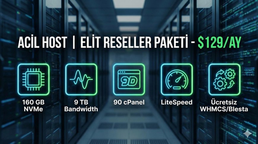 Yüksek ölçekli projeler için elit reseller paketi: Hız ve kapasite