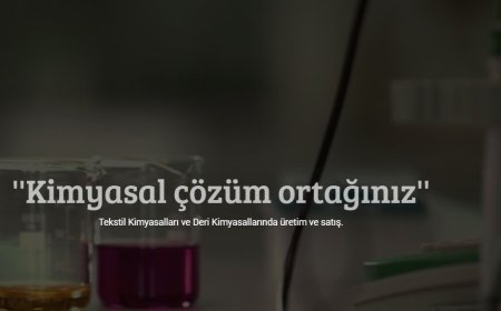Mol Kimya: Bursa'dan yükselen çevre dostu teknoloji üssü