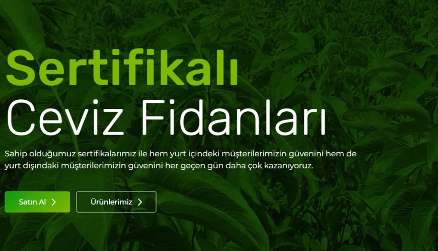 Narlı Botanik sertifikalı ceviz fidanı ihracatıyla küresel pazara açılıyor