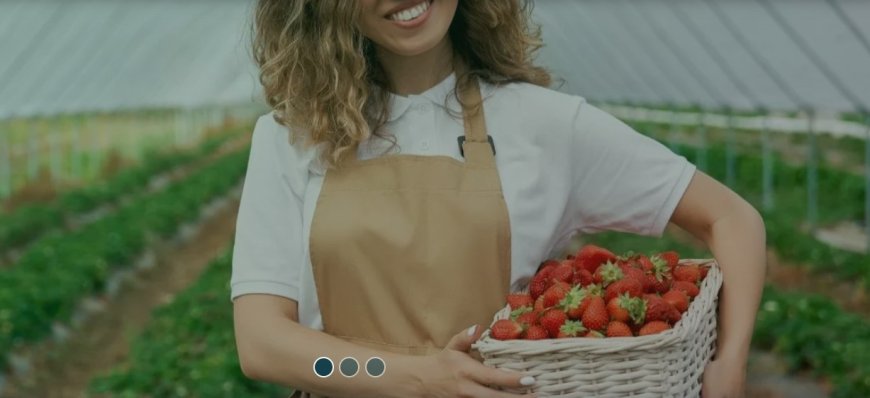 İska Sera Sistemleri modern teknolojilerle tarıma yön veriyor