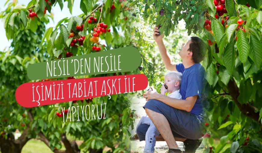 Fidan üretiminde hedef ABD’yi geçip dünya lideri olmak