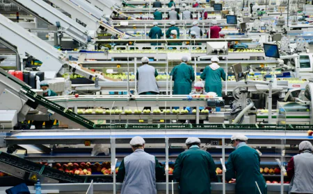 Merkim Chemical küresel pazarda büyüme hedefini ihracatla güçlendiriyor