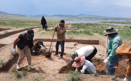 Togu Balık kazıları Türk tarım tarihini 100 yıl geriye taşıdı